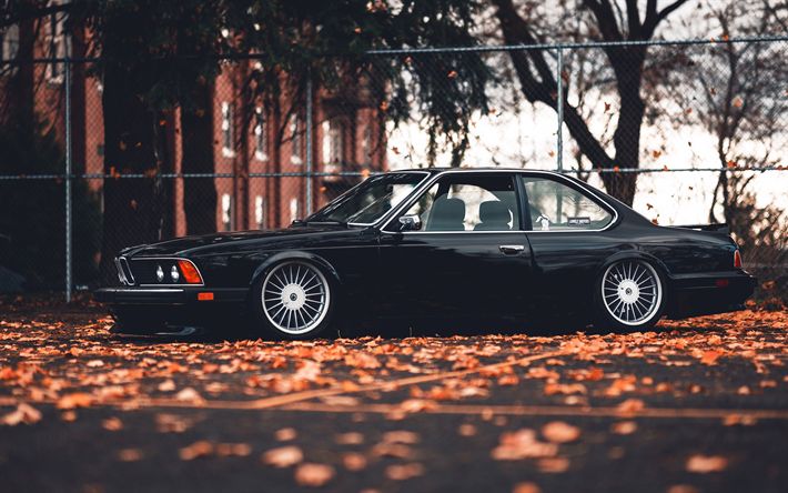 bmw e24